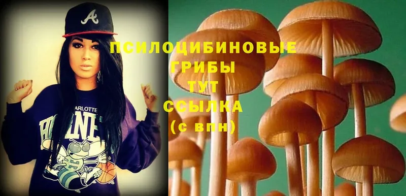 мега вход  Белоусово  Галлюциногенные грибы Magic Shrooms 